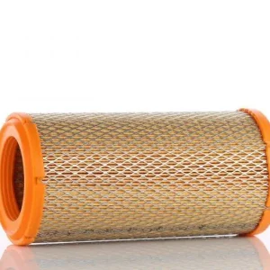 Zamów teraz PZL-SĘDZISZÓW FILTR POWIETRZA WA20251