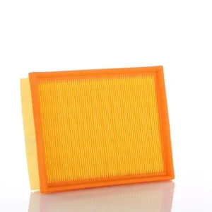 PZL-SĘDZISZÓW FILTR POWIETRZA WA50310 Najlepsza cena