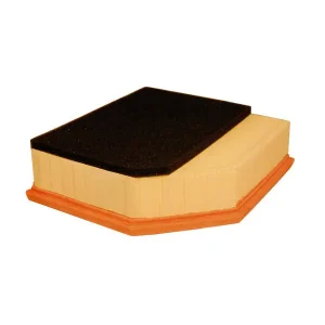 FILTRON FILTR POWIETRZA AP 165/5 Ekspresowa dostawa