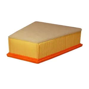 FILTRON FILTR POWIETRZA AP 189/2 Wysoka jakość