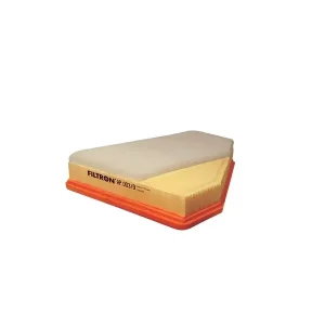 Ekspresowa dostawa FILTRON AP 003/9 FILTR POWIETRZA