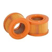 Autentyczny Filtr odpowietrzający SF SBL13407/0007L003P