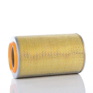 Filtr Powietrza WA30850E - PZL Sędziszów Ostatnia szansa