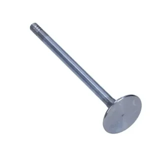 FRECCIA Zawór Ssący BMW 3.0D 24V R6619/SCR Szybka dostawa