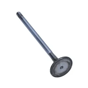 Rabat FRECCIA Zawór Ssący FIAT 1.6D/1.9D/2.0D 16V R6203/SCR