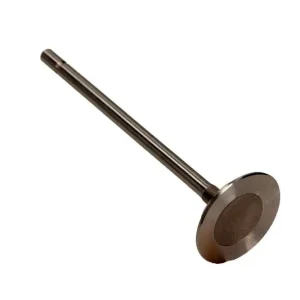 Ekspresowa dostawa FRECCIA Zawór Ssący R6138/S Opel 2.0 16V