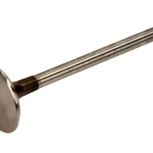 FRECCIA Zawór ssący RENAULT 1.9DCI 8V R4973/S Wyprzedaż