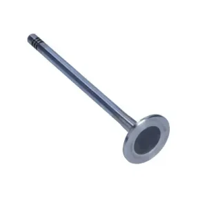 Tani FRECCIA ZAWÓR WYDECHOWY FORD 2.5 20V/24V R6299/BMARCR