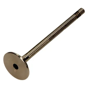 FRECCIA Zawór wydechowy R6198/BM VW 1.2/1.4 6V/8V Tylko dziś