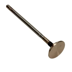 Tylko dziś FRECCIA ZAWÓR WYDECHOWY R6340/BMCR FIAT 2.3 16V JTD